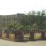 Gambella Finance Department